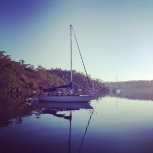 482918_3877840704792_79619993_n