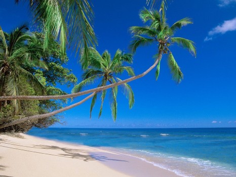 fiji_beach_image_2