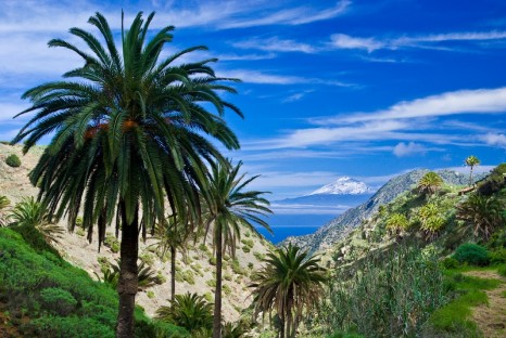 la-gomera