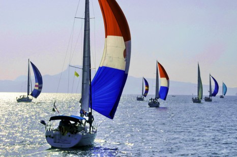 Bay regatta