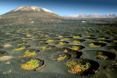 Lanzarote