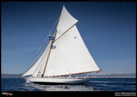 palma vela10